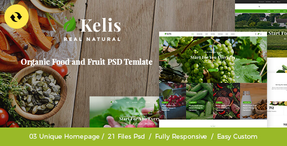 Kelis - Organic Food And Fruit Store PSD Template