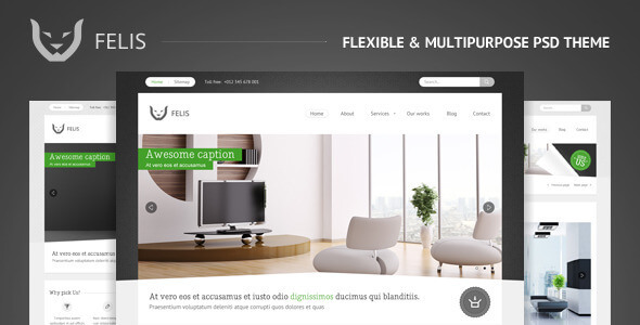 Felis - Flexible & Multipurpose PSD Theme