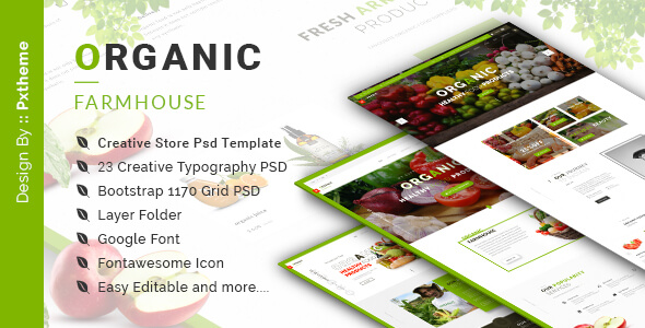 Organic Store PSD Template