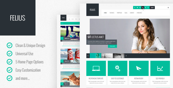 Felius – Multipurpose PSD Template