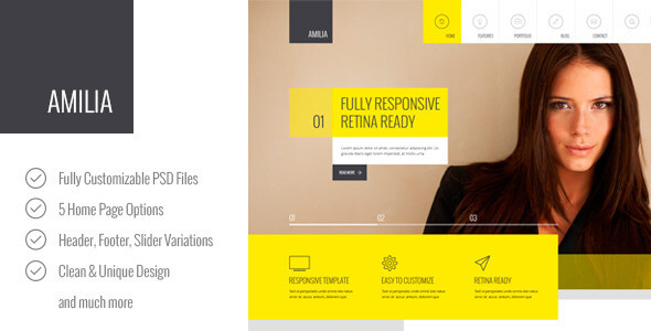 Amilia – Multipurpose PSD Template