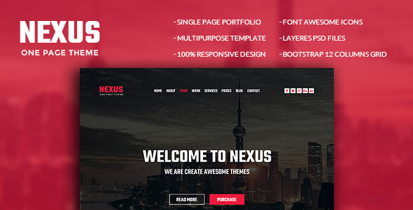 NEXUS_onepage PSD template