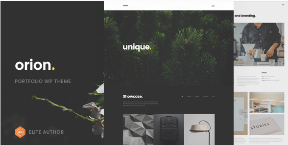 Orion - Minimal Portfolio WordPress Theme