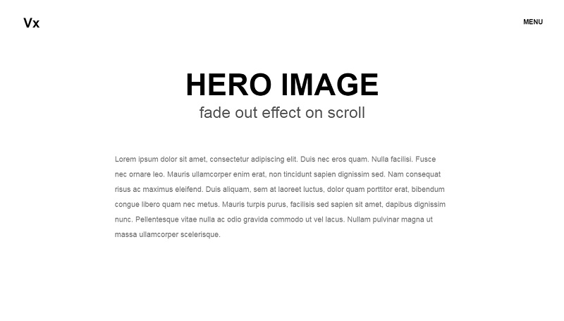 Hero Image Showcase