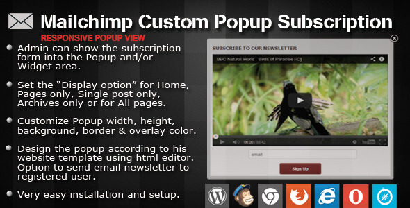 Mailchimp Custom Popup Subscription for wordpress