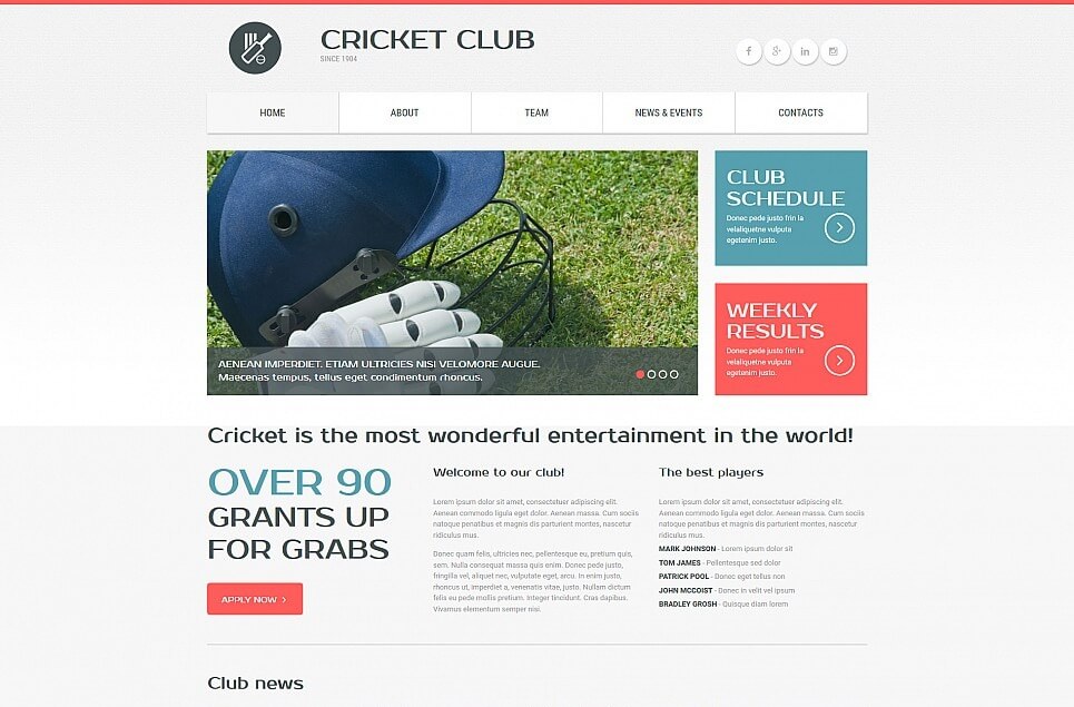Cricket Responsive Moto CMS 3 Template