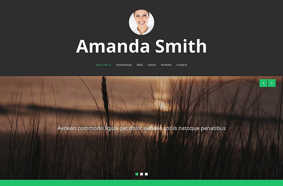Personal Page Responsive Moto CMS 3 Template