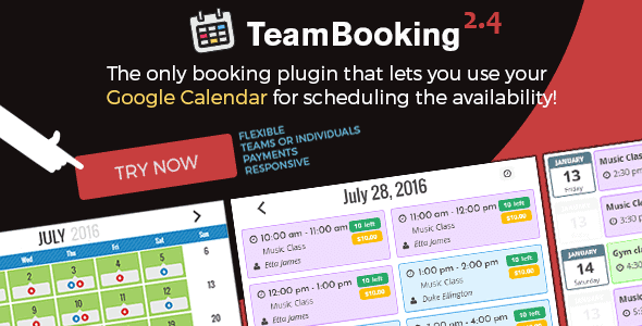 Team Booking - WordPress booking system
