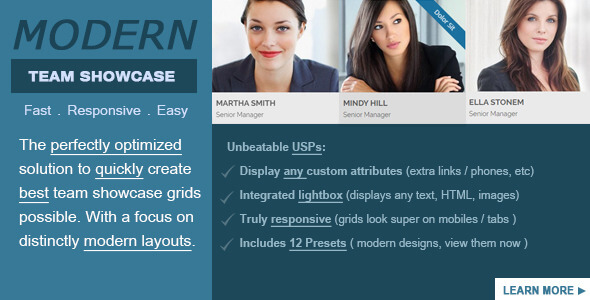 Modern Team Showcase WordPress Plugin