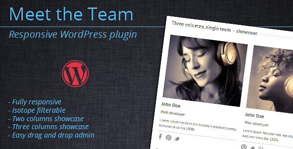 Meet the Team - WordPress Plugin