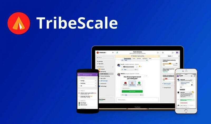 TribeScale