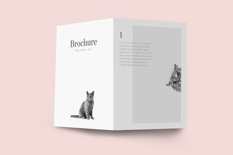 Bifold Brochure