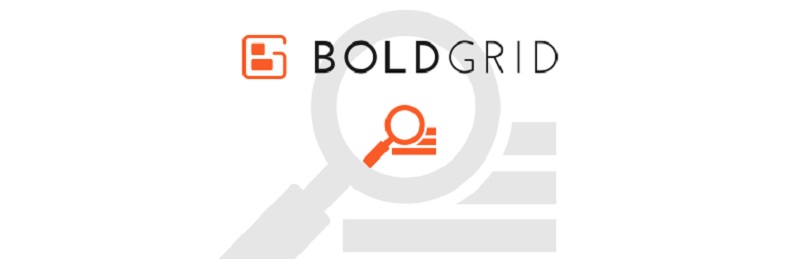 BoldGrid Easy SEO