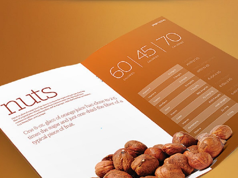 Brochure Template