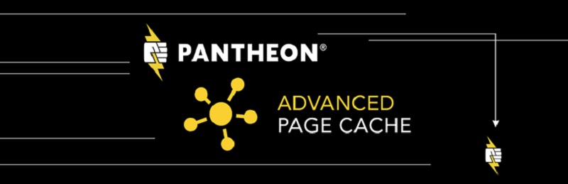 Pantheon Advanced Page Cache