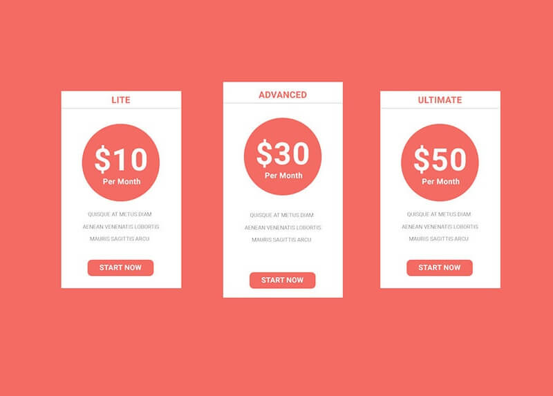 Pricing Card Design 11