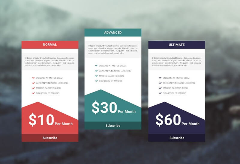 Pricing Card Design 25