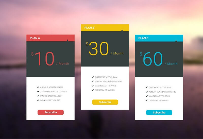 Pricing Card Design 27