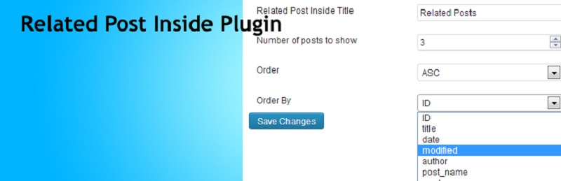 Related Post Inside Plugin