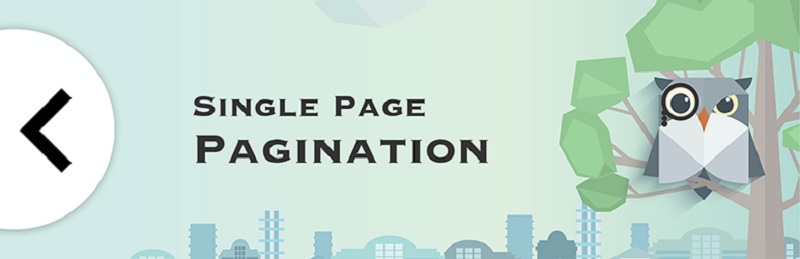 Single Page Pagination