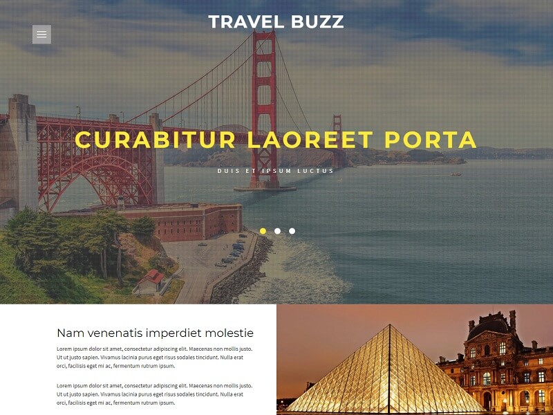 Travel Buzz