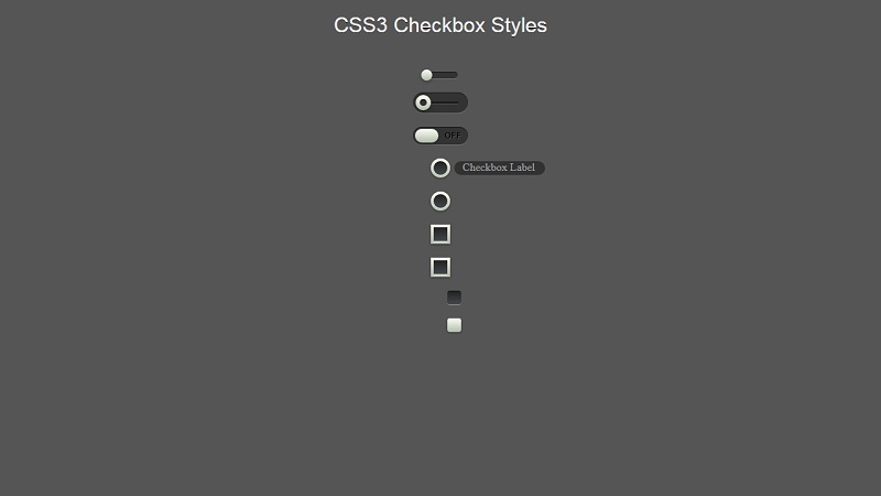 CSS Checkbox Styles
