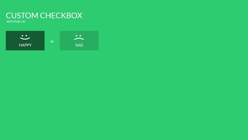 Custom CSS Checkbox