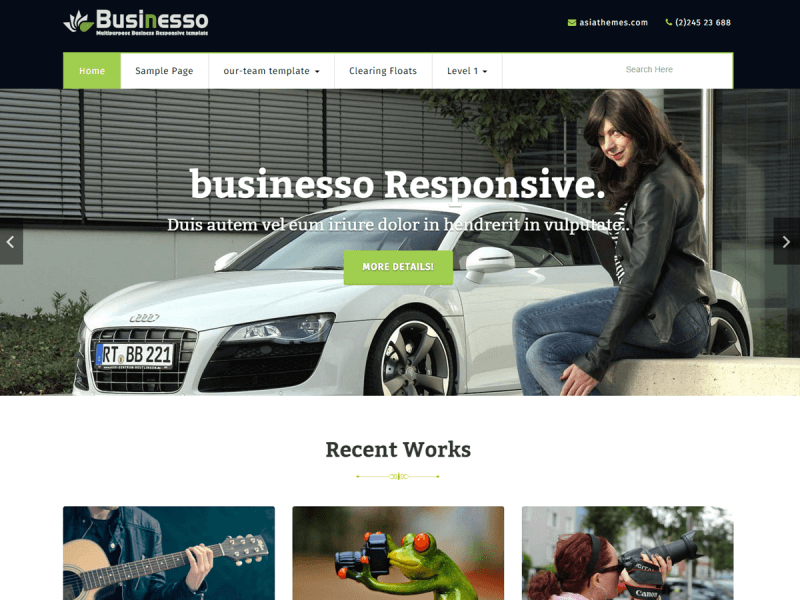 business: wordpress templates free portfolio