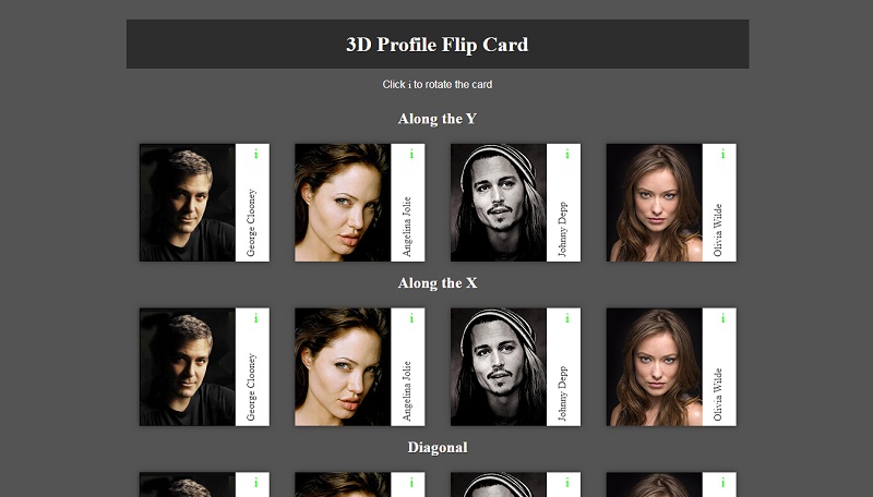 3D Profile Flip Card