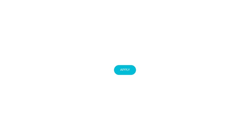 CSS button animation