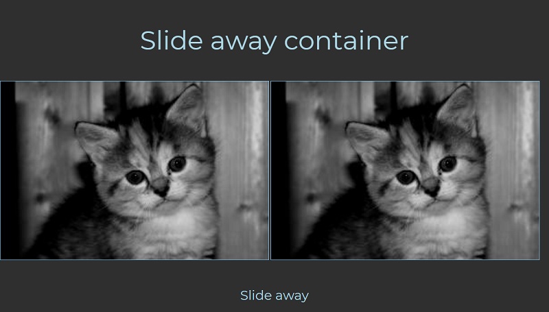 Container Slide
