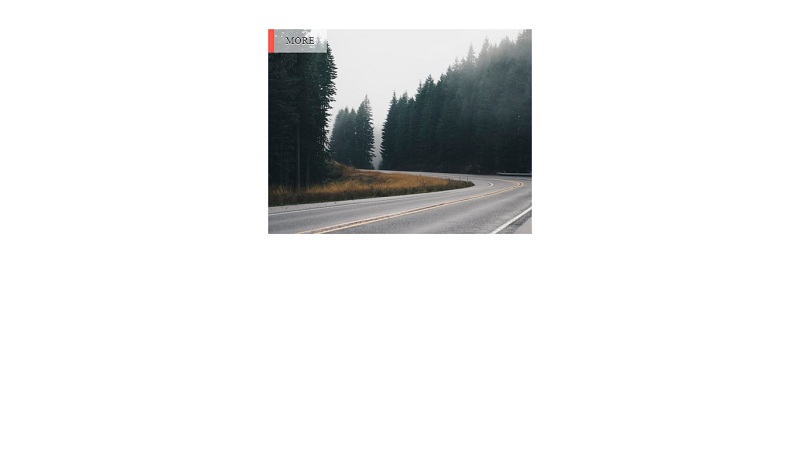 Image Hover Effect