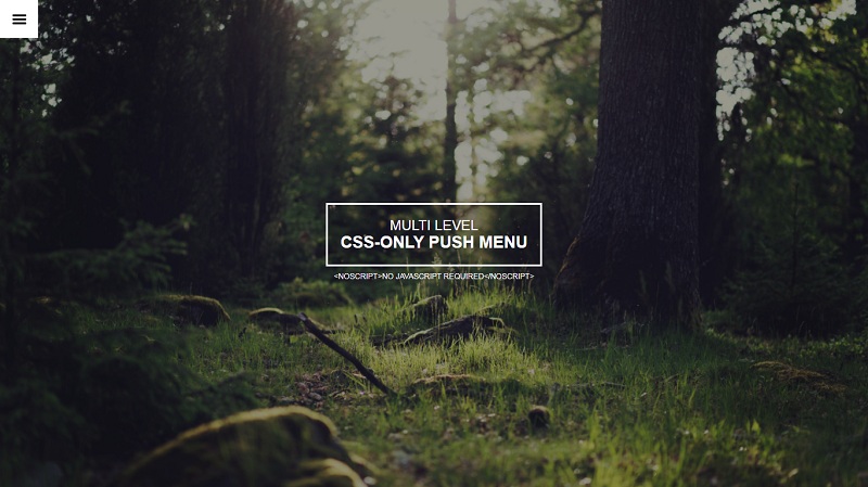 Multi Level CSS Only Push Menu