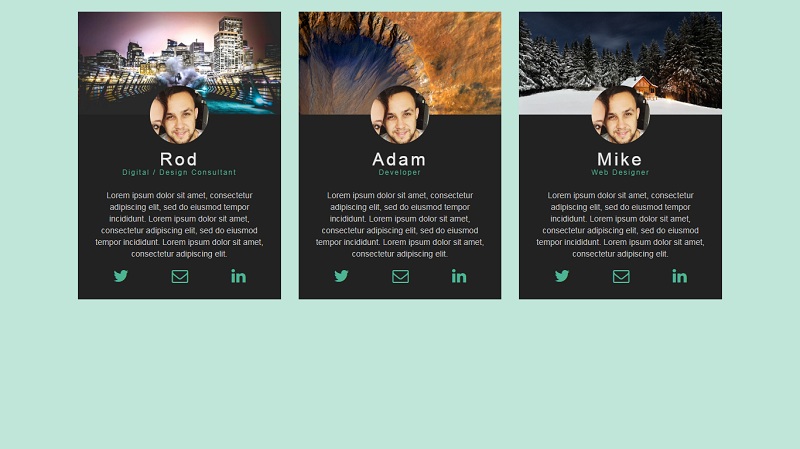 Profile cards with hover effect