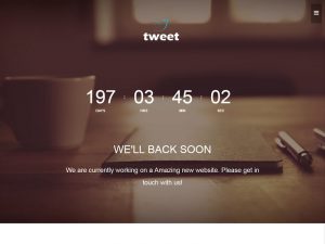 Tweet