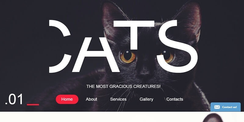 14 Best Animals HTML Website Templates 2025 Animals Html Website Templates