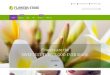 Flowers Shopify Website Templates