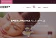 Beauty OpenCart Website Templates