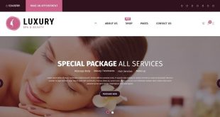 Beauty OpenCart Website Templates