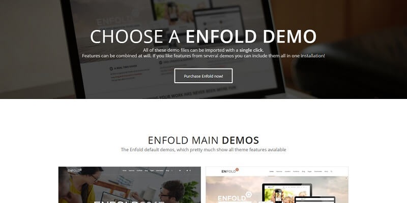 Best Popular WordPress Themes