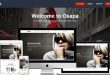 Best Fashion WordPress Themes