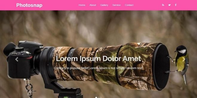 Free Photography Html Website Templates