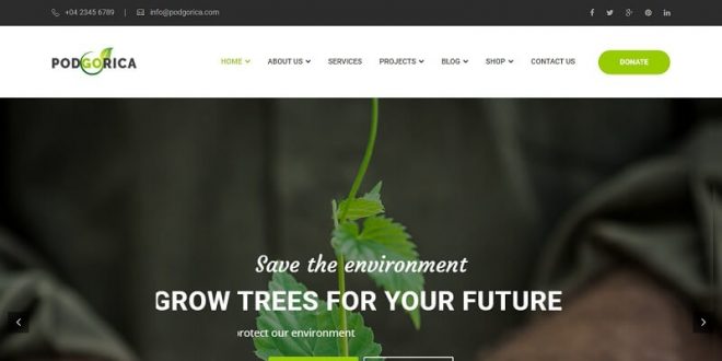 Best Environment WordPress Themes