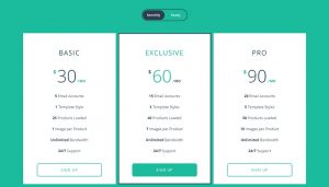 Responsive Flip Pricing Table