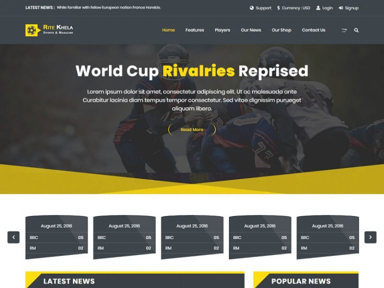 21+ Best Sports Html Website Templates for Download of 2024