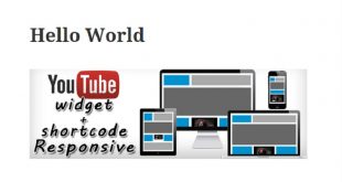 Free WordPress YouTube Plugins