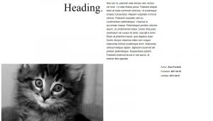 Basic Magazine Layout