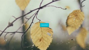 Blurred Background Modal Window