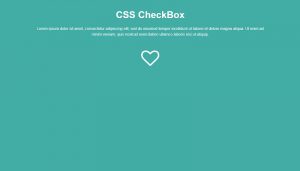 CSS CheckBox