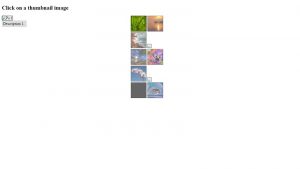 CSS Gallery